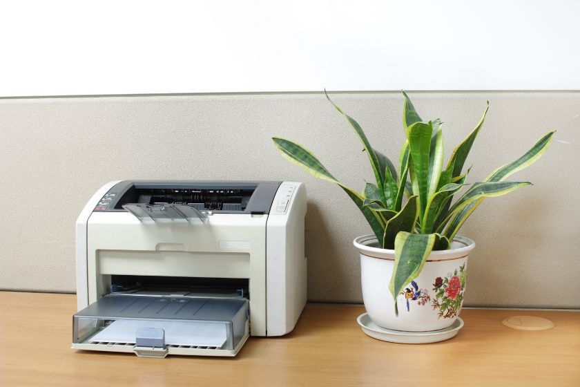 Why is My Printer Not Printing in Color? Find Out 5 Reasons and How to Fix Them 2 Why is My Printer Not Printing in Color